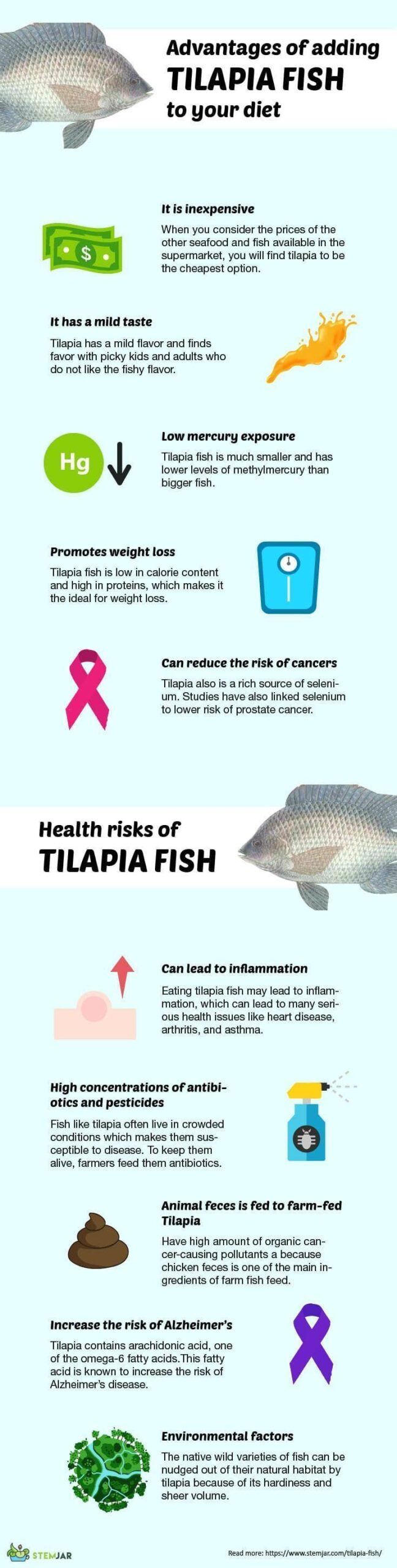 5 Health Benefits of Tilapia The Roof 2