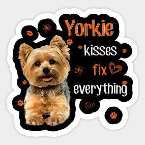 Top 6 Reasons To Own A Yorkie – Blueash Nail Spa